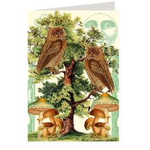 And the Moon Looked On ~ Mushroom and Owl Card ~ England